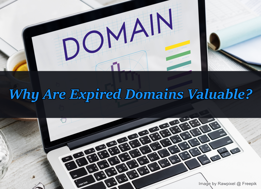 The Hidden Value of Expired Domains (and How to Find Them)